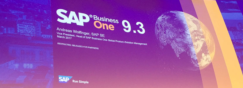 SAP Libera SAP Business One 9.3 SAP Libera SAP Business One 9.3